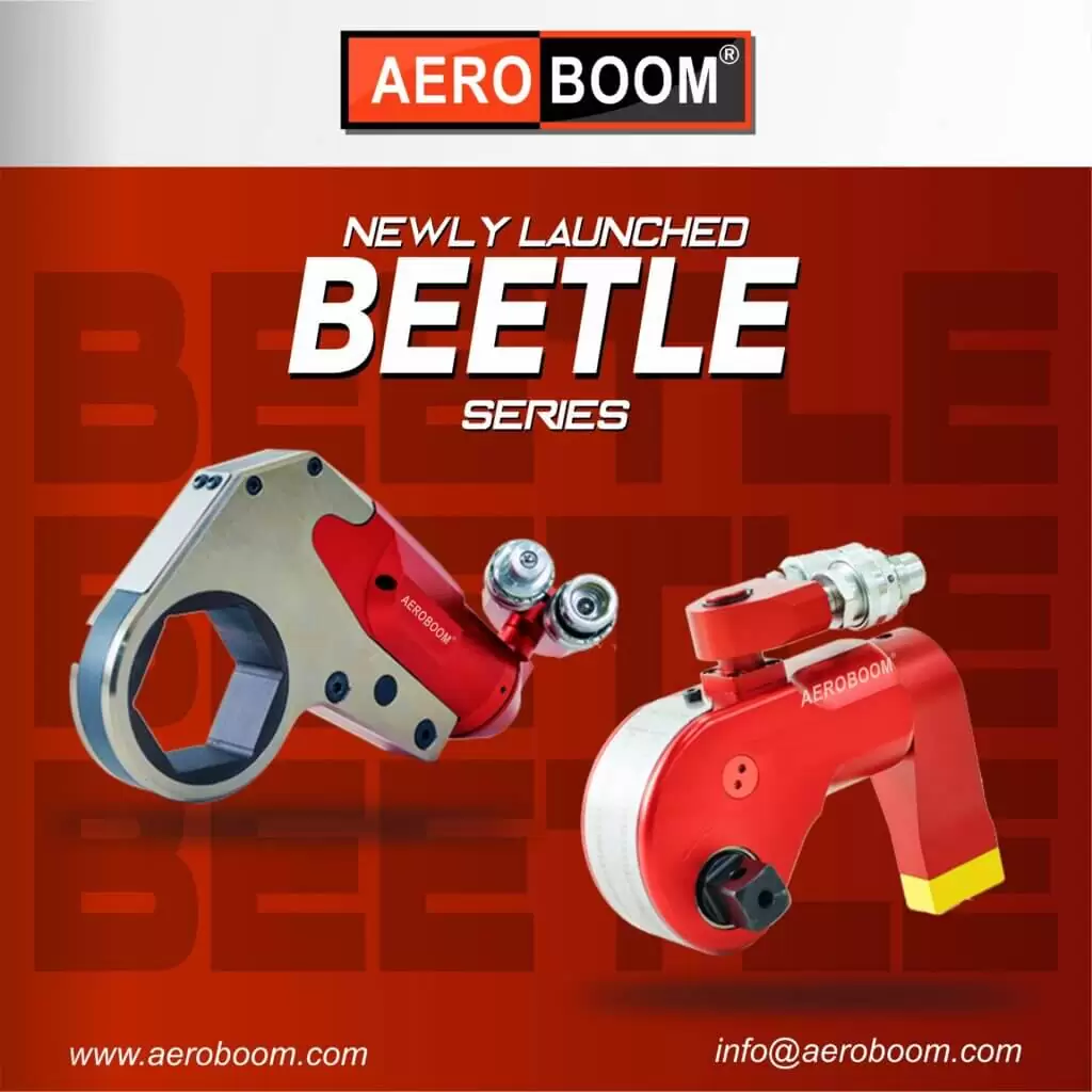 BEETLE SERIES POST